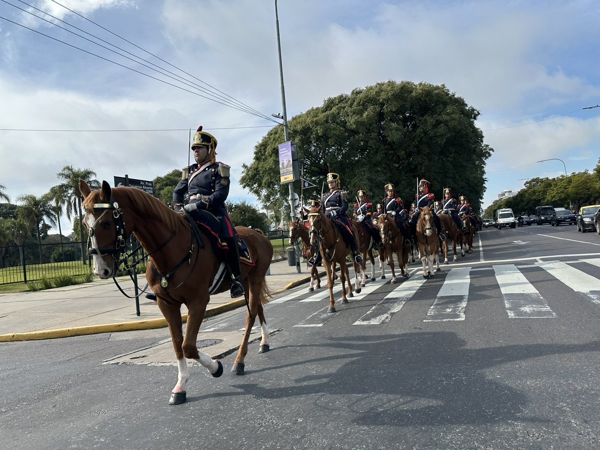 Granaderos a Caballo tweet media