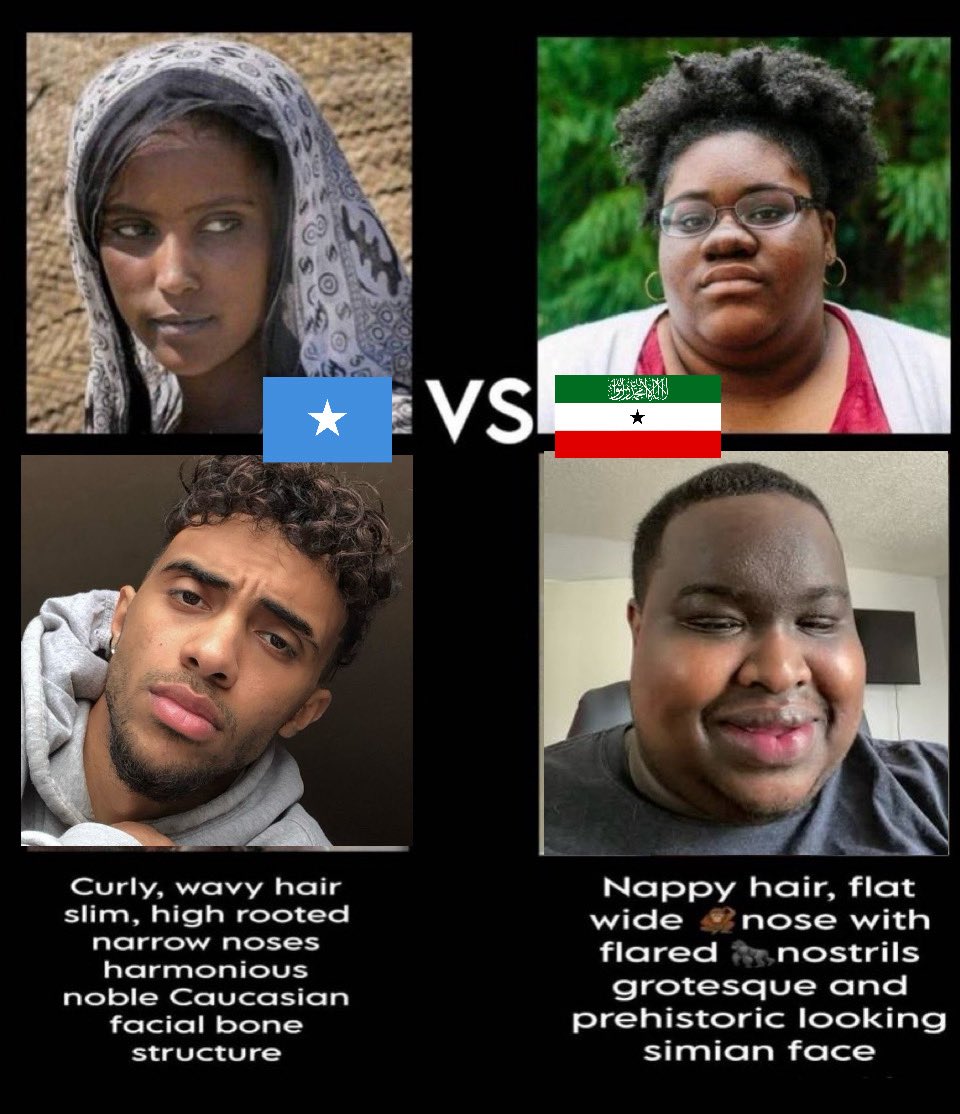 🏴☠️ tweet media