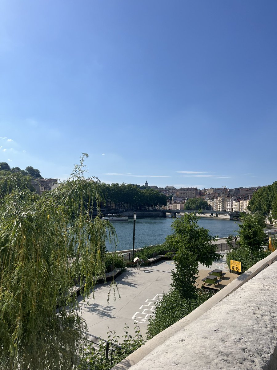 thzvi tweet media