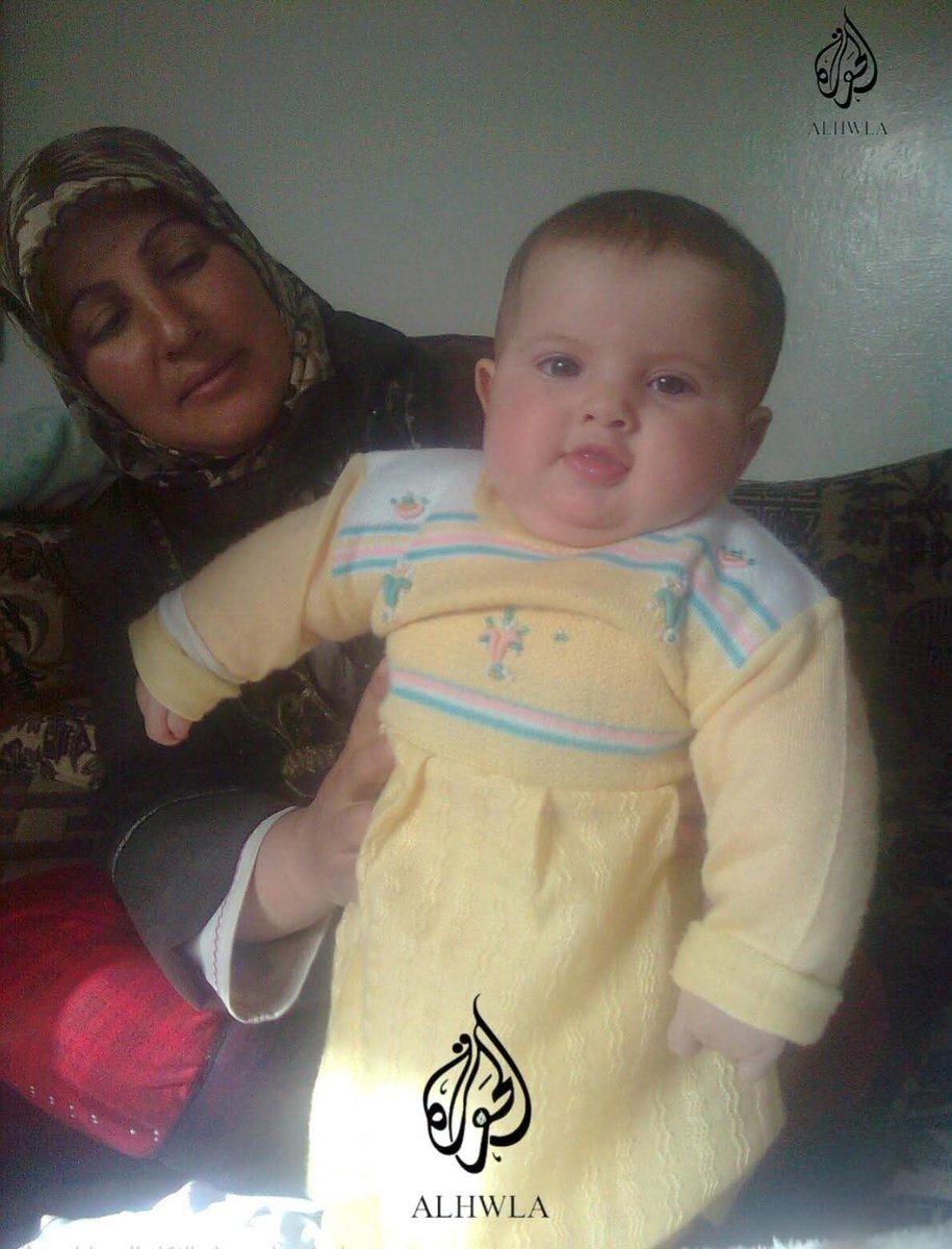 Maher tweet media