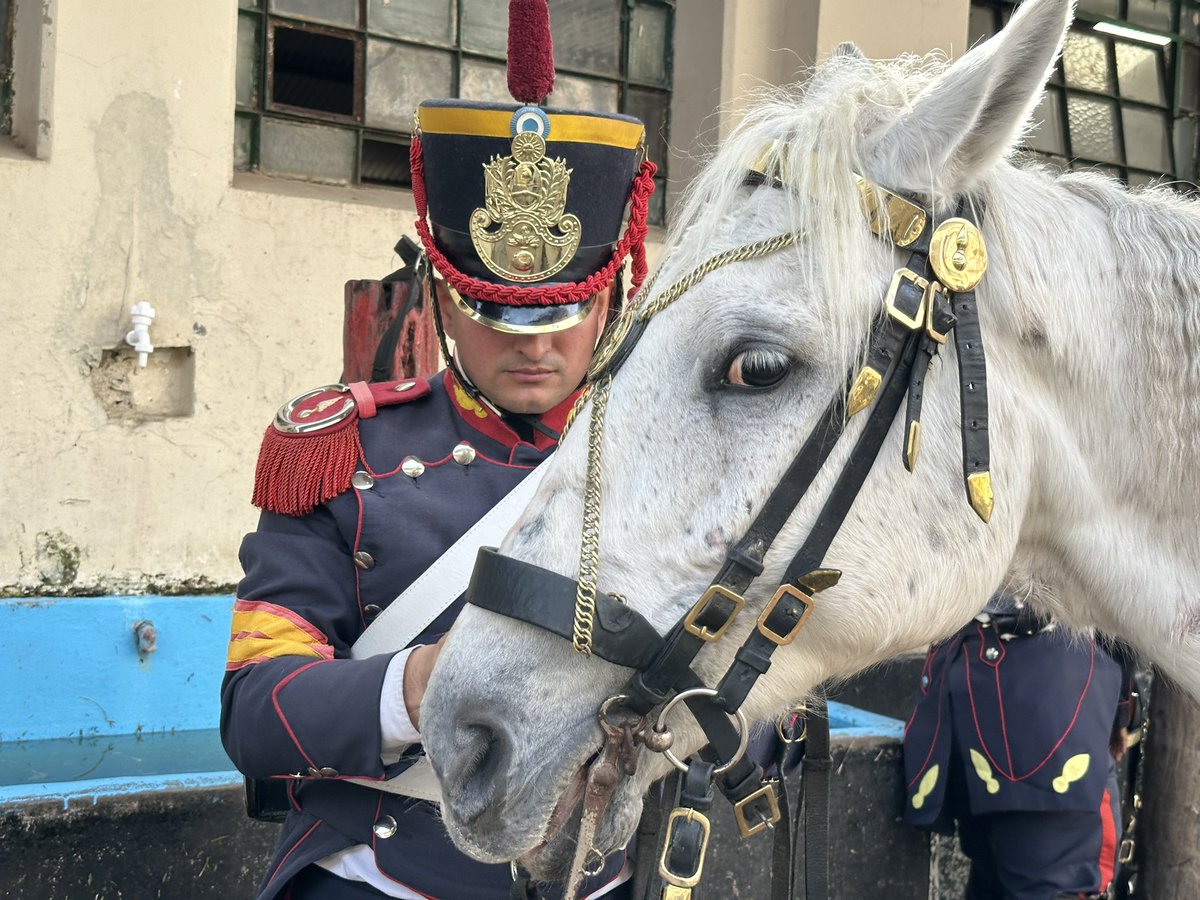 Granaderos a Caballo tweet media