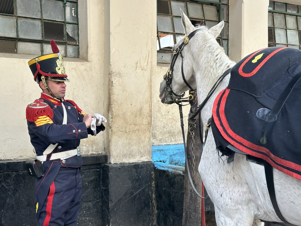 Granaderos a Caballo tweet media