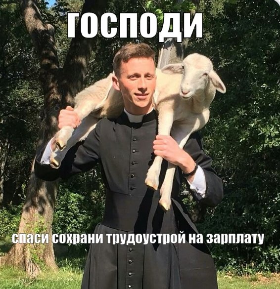 кабанчик метапанк tweet media