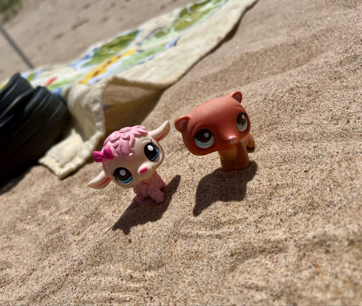 RustyTweets27's tweet photo. Beach day ☀️ https://t.co/YCAFAeGb7x