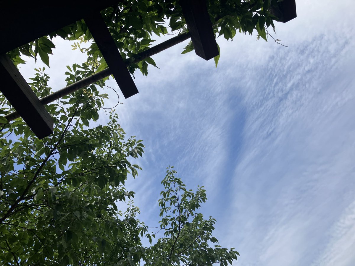 くう🍀⑅◡̈* tweet media