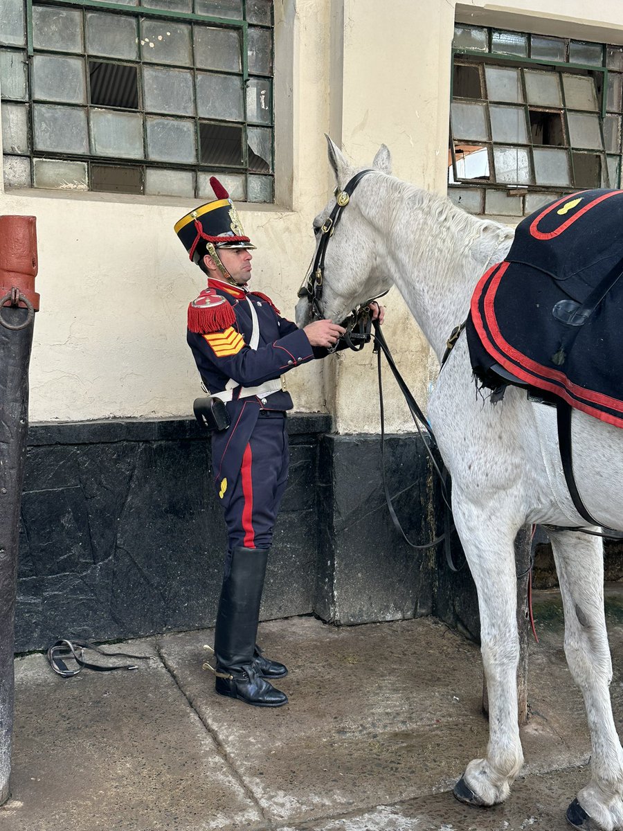 Granaderos a Caballo tweet media