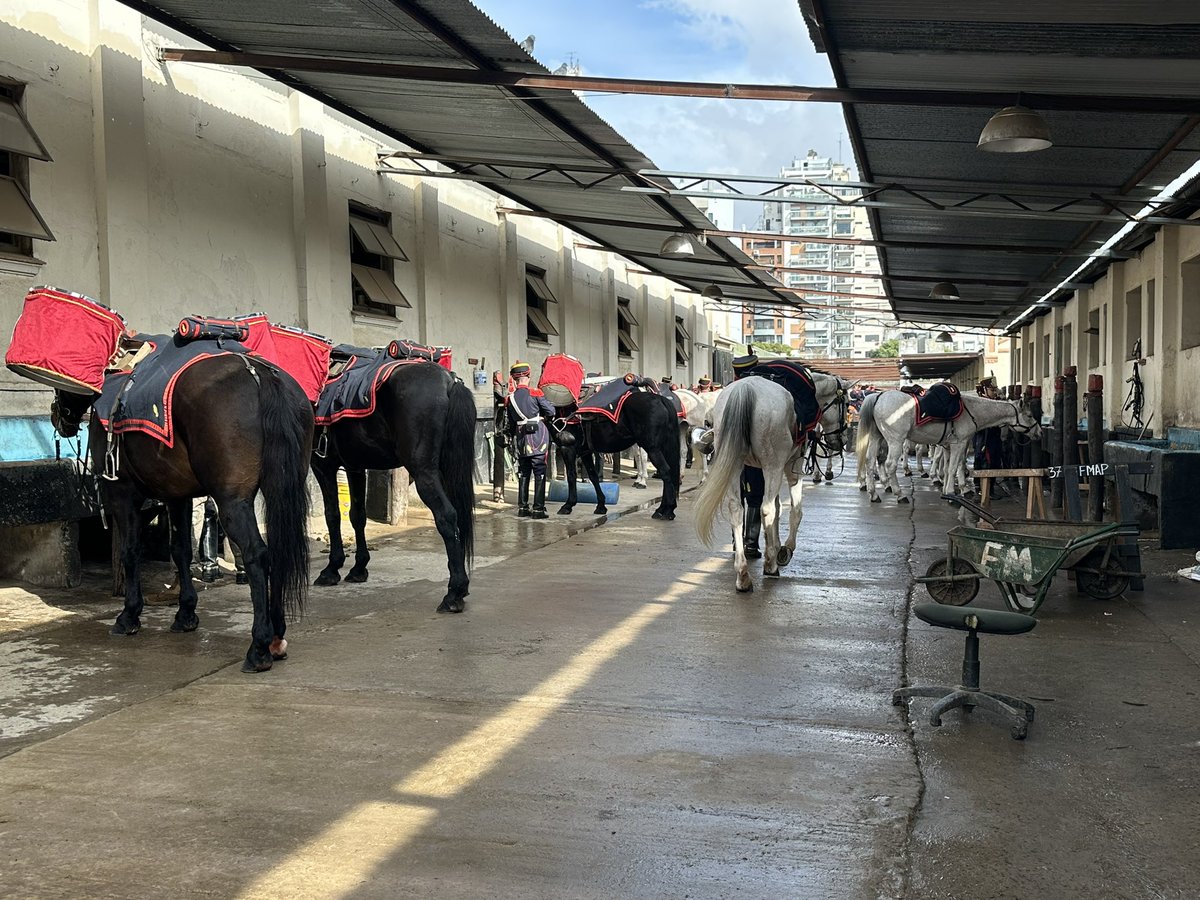 Granaderos a Caballo tweet media