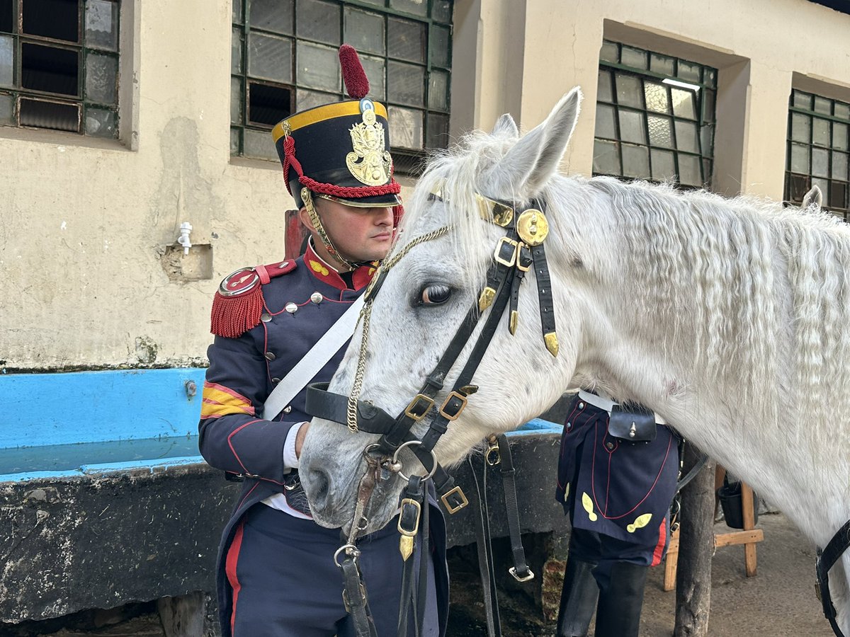 Granaderos a Caballo tweet media