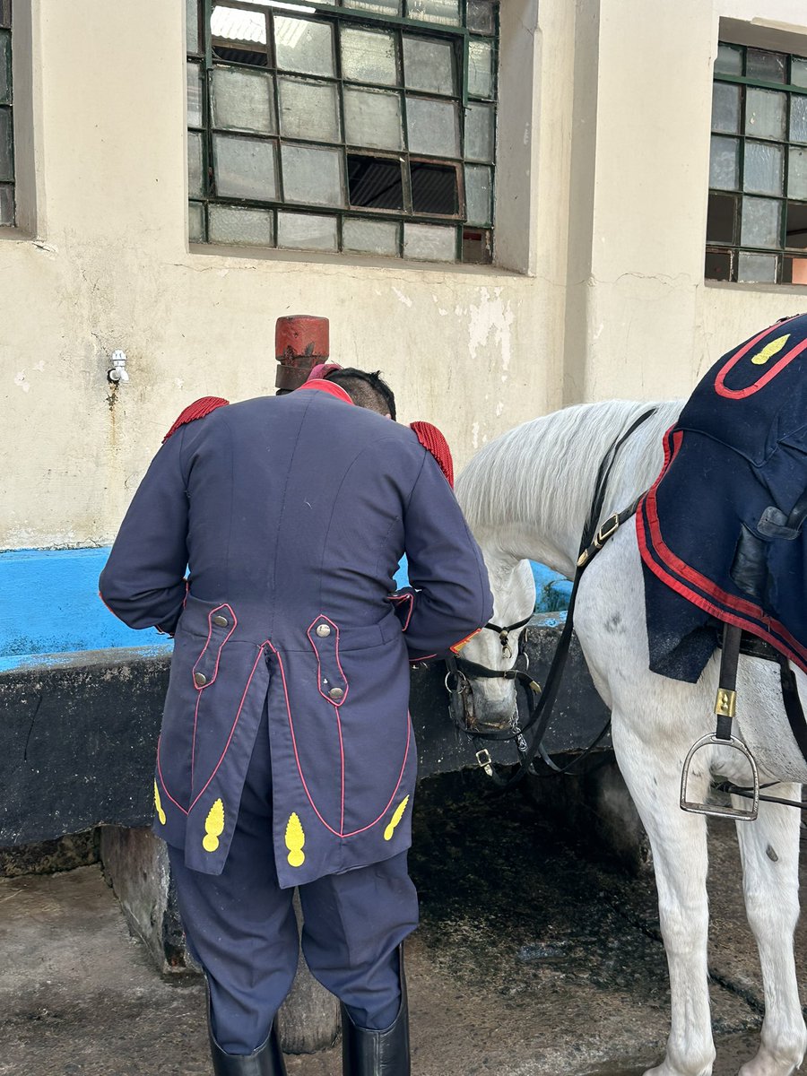 Granaderos a Caballo tweet media
