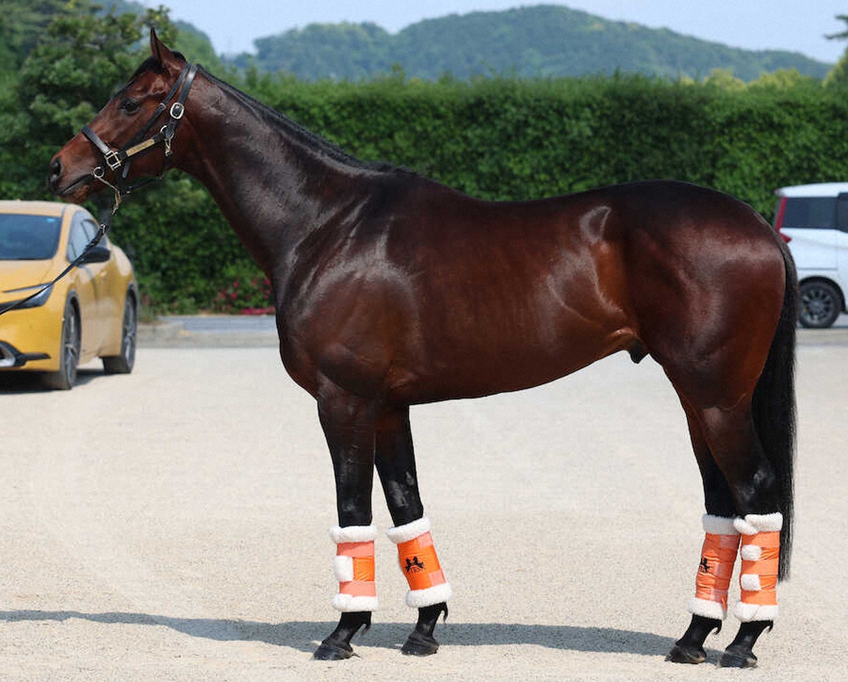 WIN!競馬_総合【公式】 tweet media