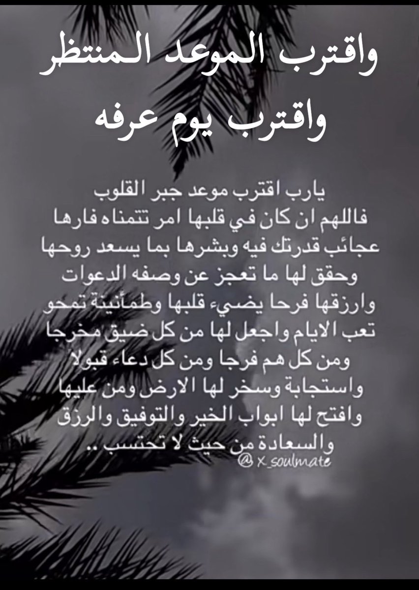 شوق الحلاا🧁 tweet media