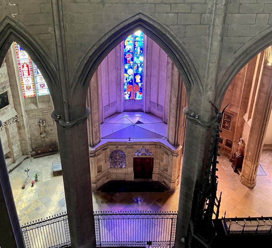 AmisCathRodez's tweet photo. Le même vitrail, vu depuis le triforium 🤓. 
Des animaux marins, des animaux terrains, des embryons d'animaux, on ne sait ! C'est le temps de la gestation ; ciel et terre s'harmonisent dans l'eau. Un vitrail à contempler plus qu'à expliquer, à ressentir avec son être profond. https://t.co/p0R5V8scSt