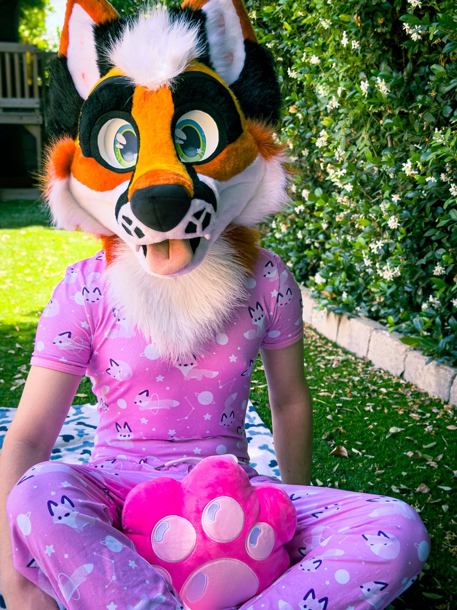 TinyFops's tweet photo. Would you come have a picnic with me? 🫪

🦊🌸 The Pink Cosmic Fox Onesie + Bottoms from @OnesieDownunder
Releasing May 26th @ 8pm EDT 🗣️🔥

#babyfur #kidfur #abdl https://t.co/sRZViHlGhS