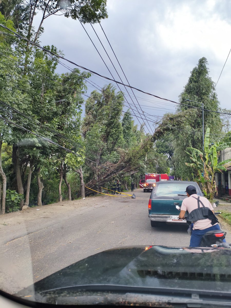 Nesz_rm's tweet photo. Árbol caído sobre avenida nuevo león, dirección san gregorio antes de llegar al deportivo #xochimilco #cdmx https://t.co/MBDEVkxTQh