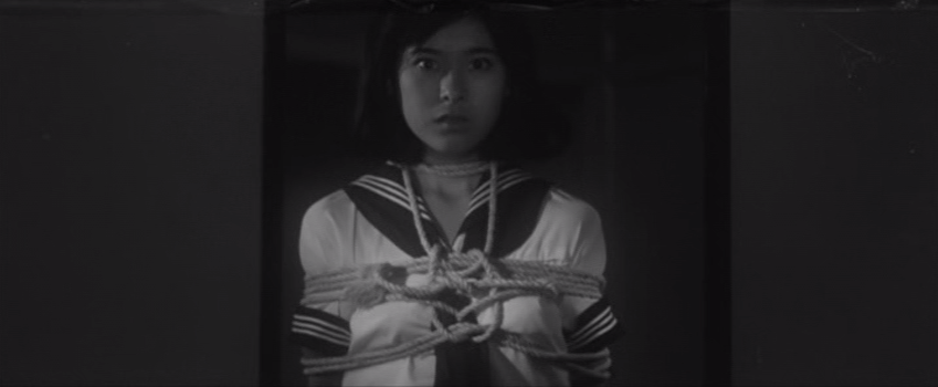 polkasan's tweet photo. Flora on the Sand • 砂の上の植物群 (Kō Nakahira, 1964) https://t.co/sjOCsdtgWE