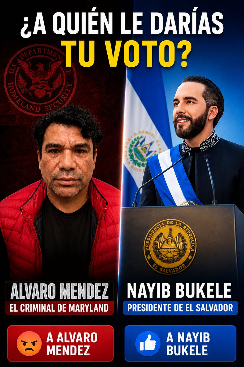 Nicolas Navas Rivas tweet media