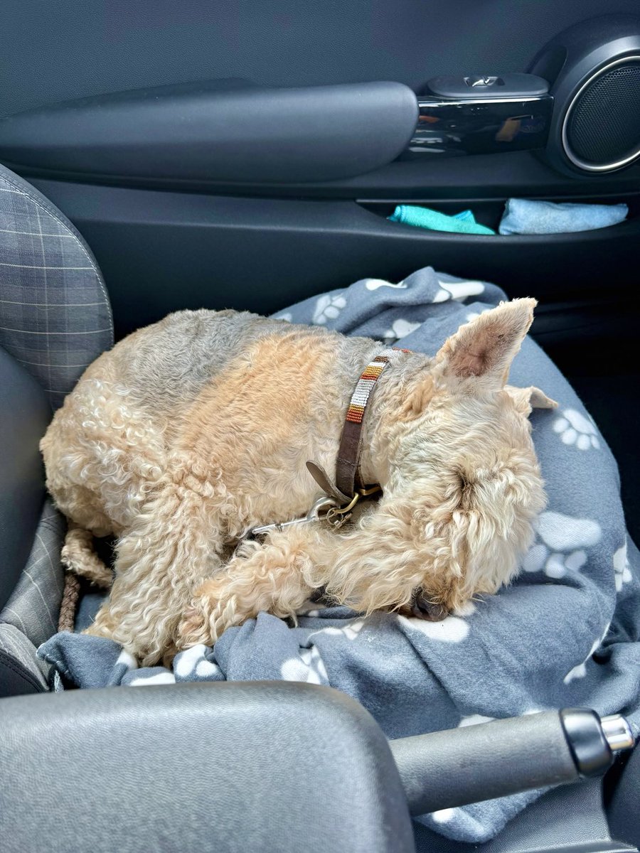 Bertie Lakeland tweet media