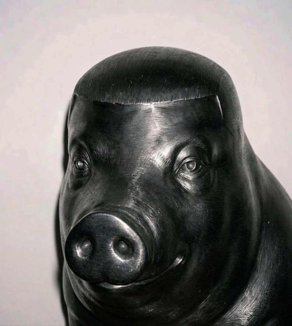 HowlingWiggerPig 🇺🇸 tweet media