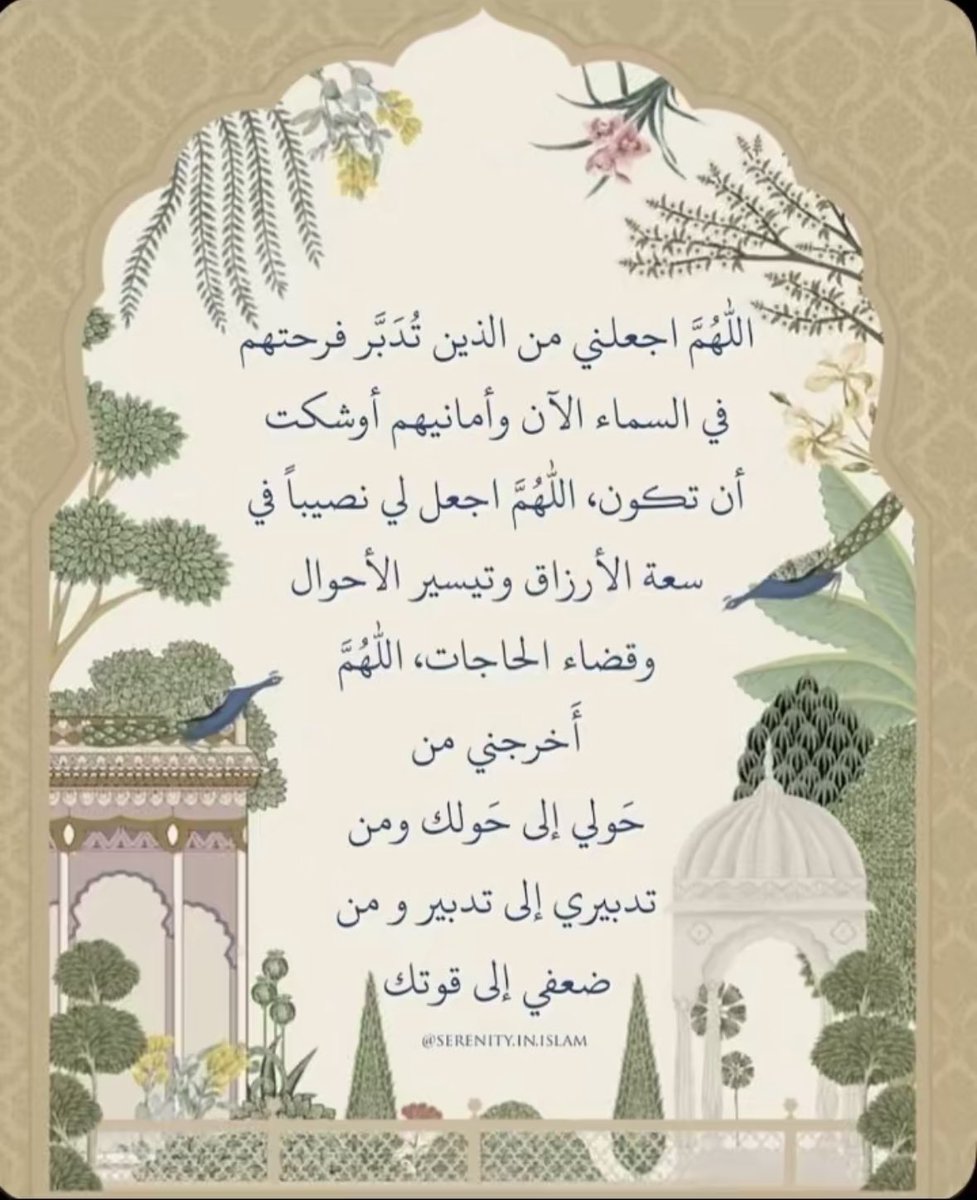 شّروق tweet media