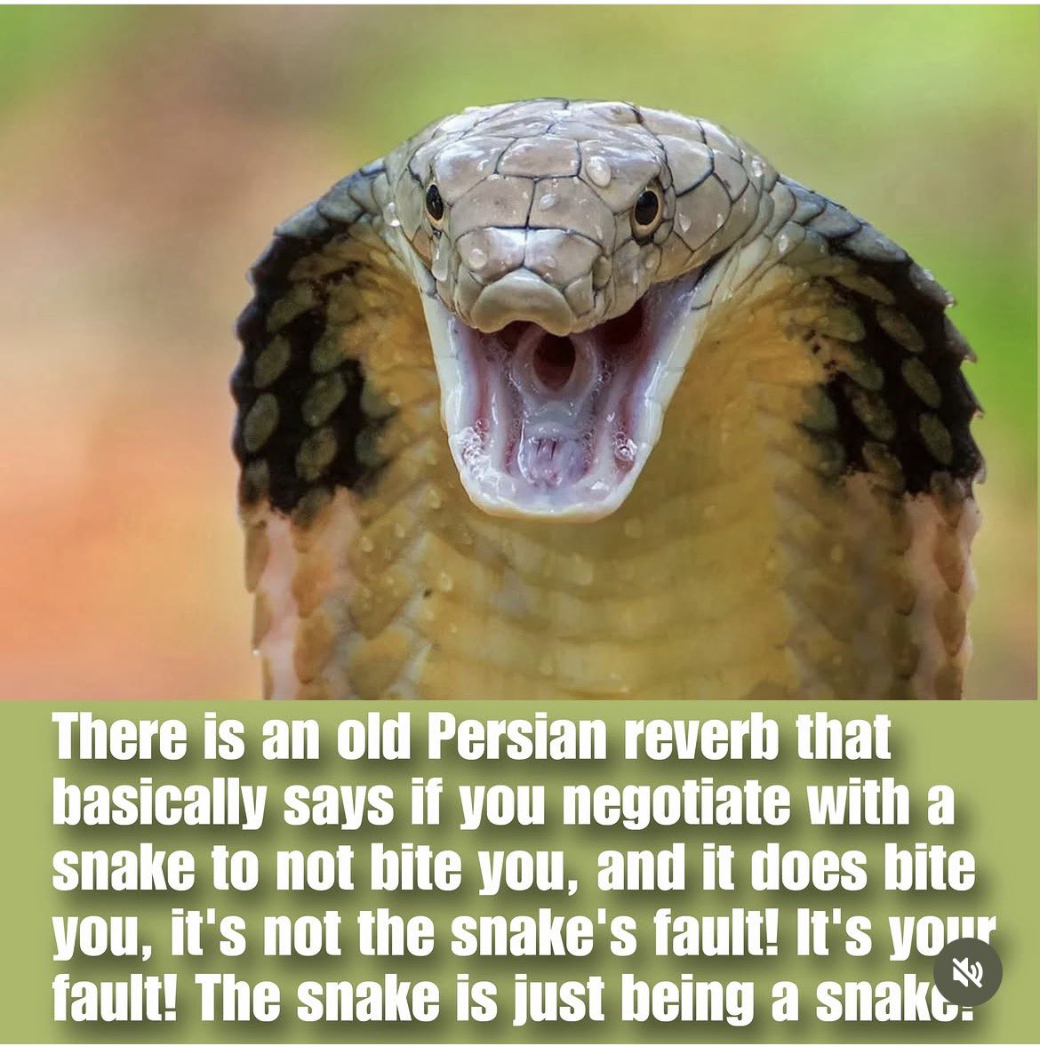 MaryJavaheri's tweet photo. @marklevinshow Trusting the snake!

#FinishTheJobNow #FinishTheJobSir #NoDealWithIslamicRepublic 
#Potus 
#IranMassacre‌ https://t.co/zFelXwu1sk
