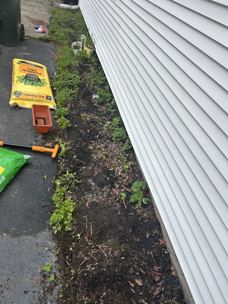 mrssteachct's tweet photo. Finally able to get some more seedlings into the ground. I am determined to have my own fresh veggies this summer. Our lettuce bed is coming along nicely. For not a lot of land..I try to utilize every inch of space! #urbangarden #gardensofx #farmtotable https://t.co/mbO8w8K5lC