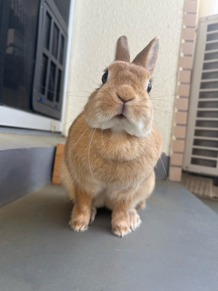 おはようございます☀ いい天気ですよ！！ 今日も一日がんばろー