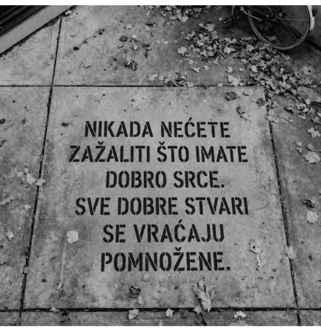 znastvenik tweet media