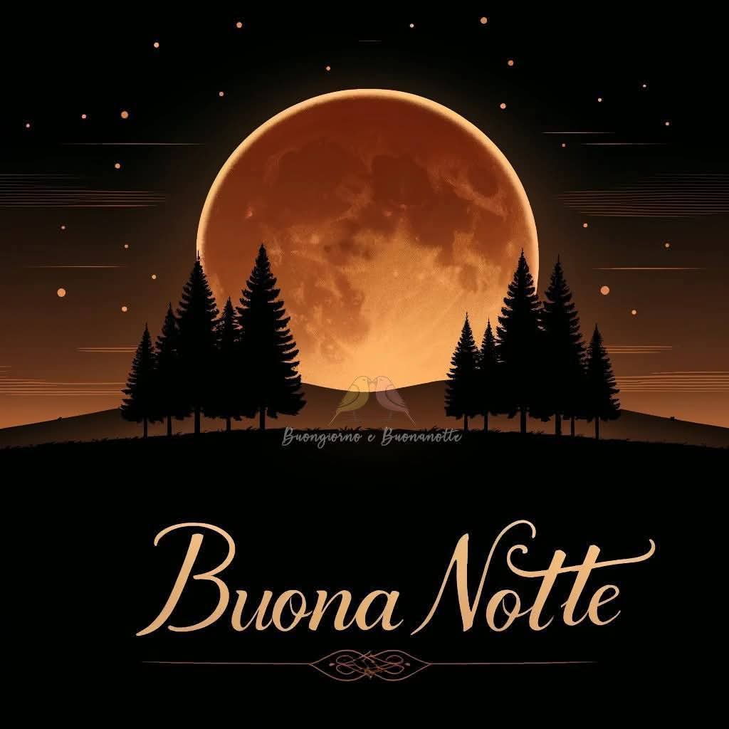 MariaRossella4's tweet photo. #Buonanotte https://t.co/xf9QE1qFzt