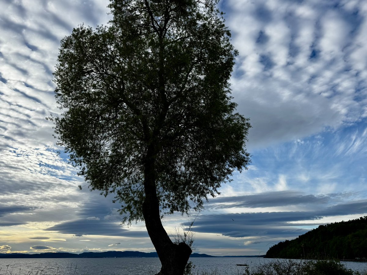 DavidSandum's tweet photo. Photos from my walk by the Oslo Fjord tonight at Jeløy, #norway Taken with my phone and posted without filter. https://t.co/cdhAI3OCWf