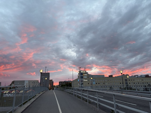 iahamza360's tweet photo. @OliverMolander In our area more of a pink shade ... https://t.co/pL9Sph13l9