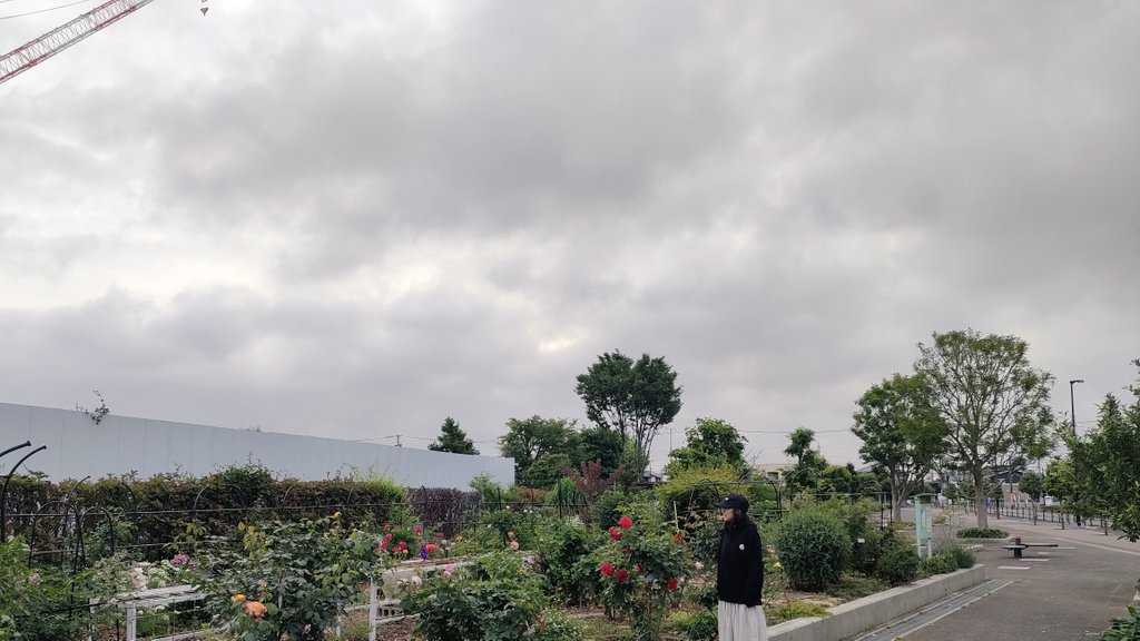 HHenehene's tweet photo. 2026.5.26.
朝散歩。真っ赤なバラ。草花の匂い。ラベンダーの匂い。誰かが吸ったタバコの匂い。鳥の声。トラックのエンジン音。クレーン車。夏の気配。いい一日になりますよう🗝️ https://t.co/XkgHPXihen