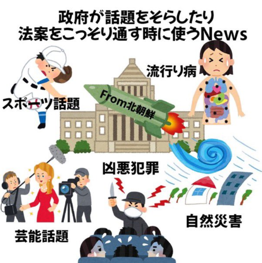 柚子姫🐾憲法改悪反対 tweet media