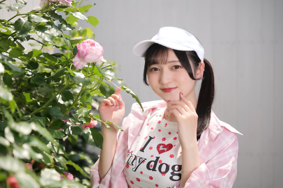 しげぽん (@QNusfNjCssBC4uk) / Posts / X