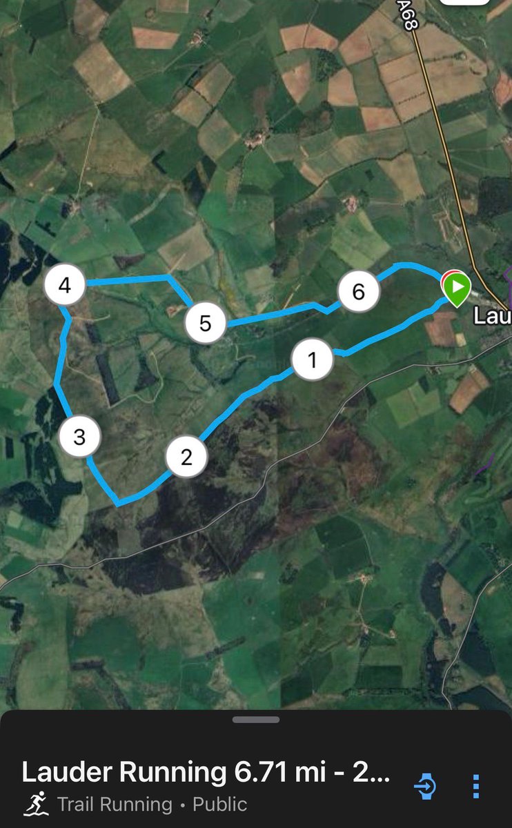 Lauder Common Riding tweet media
