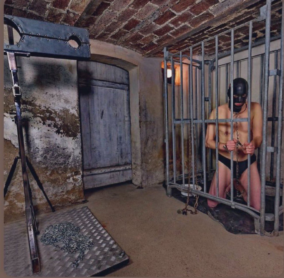 mistress Ava tweet media