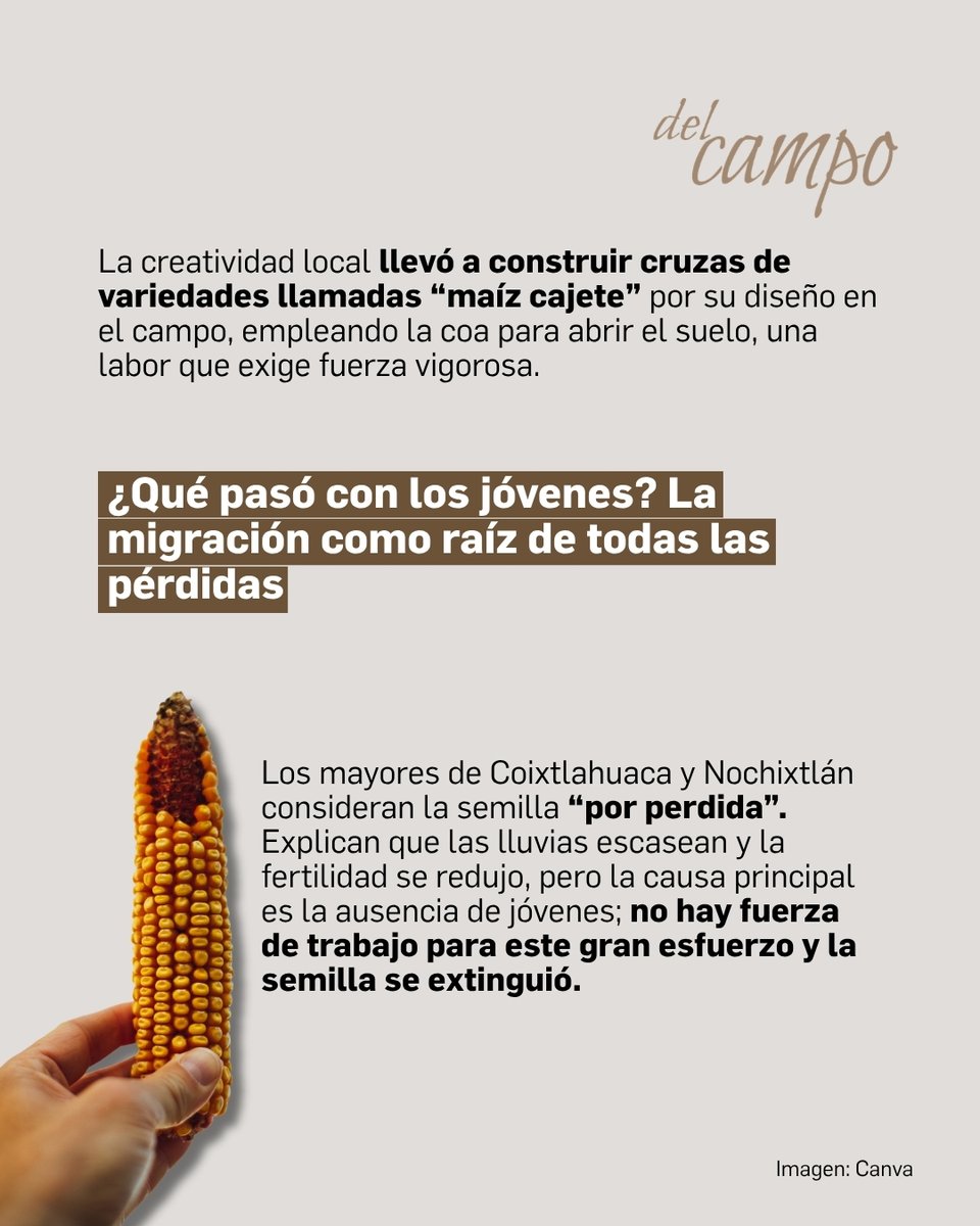 La Jornada tweet media