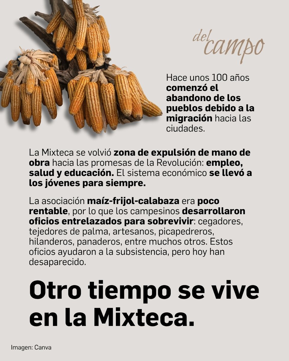 La Jornada tweet media