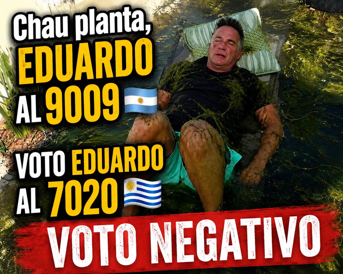 camilc 🇦🇷💛🌈/ SOL ☀️🕊️ tweet media