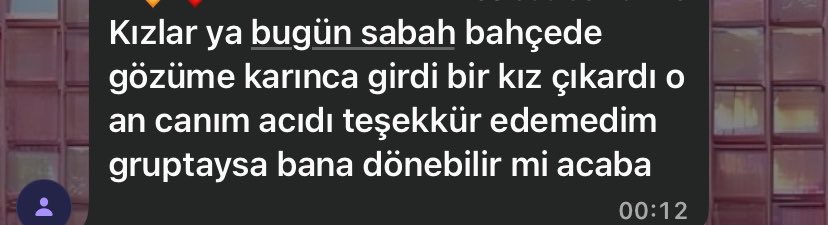 miyoşş tweet media