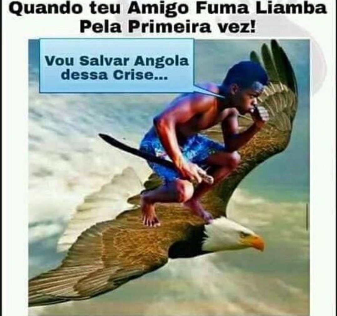 lia tweet media