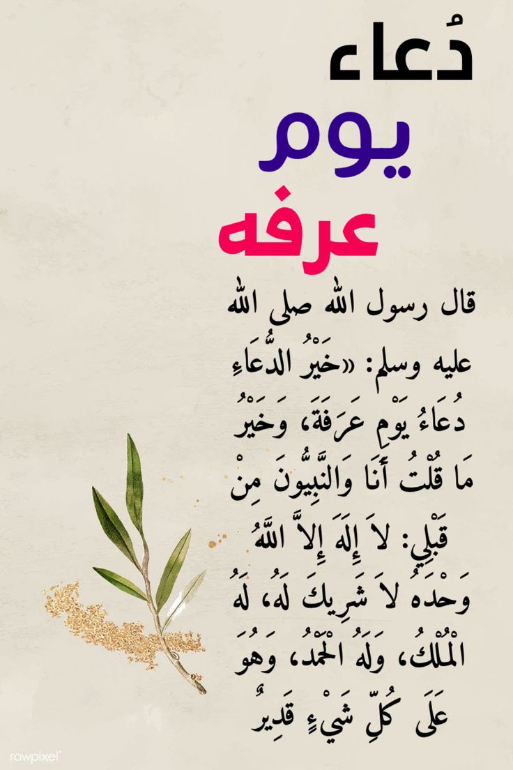 ATJM62's tweet photo. اللهمَّ بلغنا يوم عرفة، ونحن في أتم الصحة والعافية، واجمع لنا فيه الدعوات المستجابة والقلوب المطمئنة🌸 https://t.co/m6e9gw5PIN