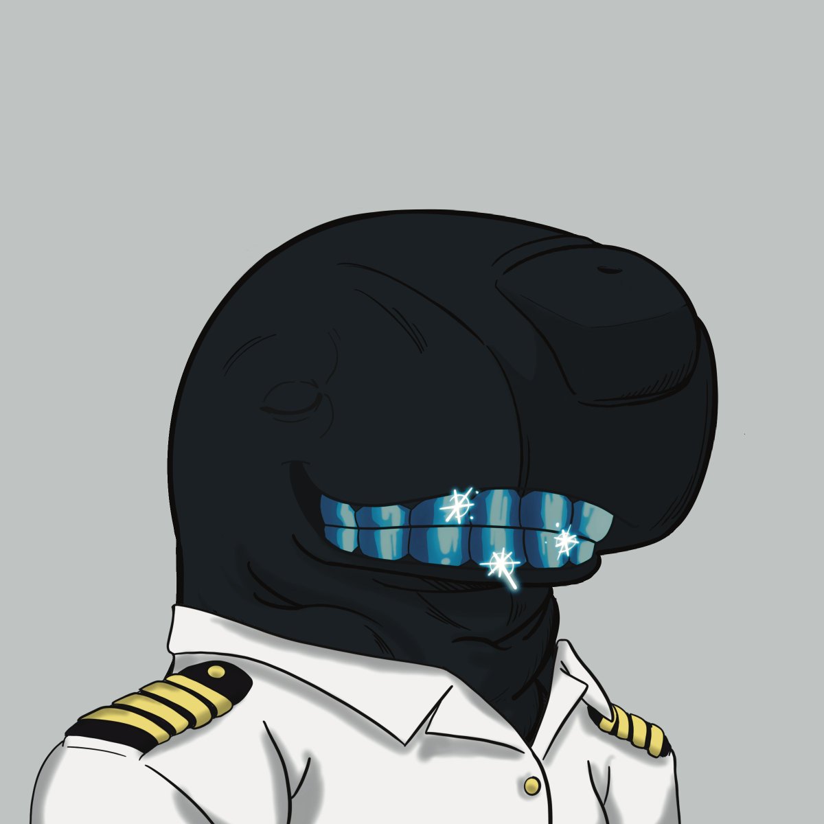 Secret Society of Whales 🐋 tweet media