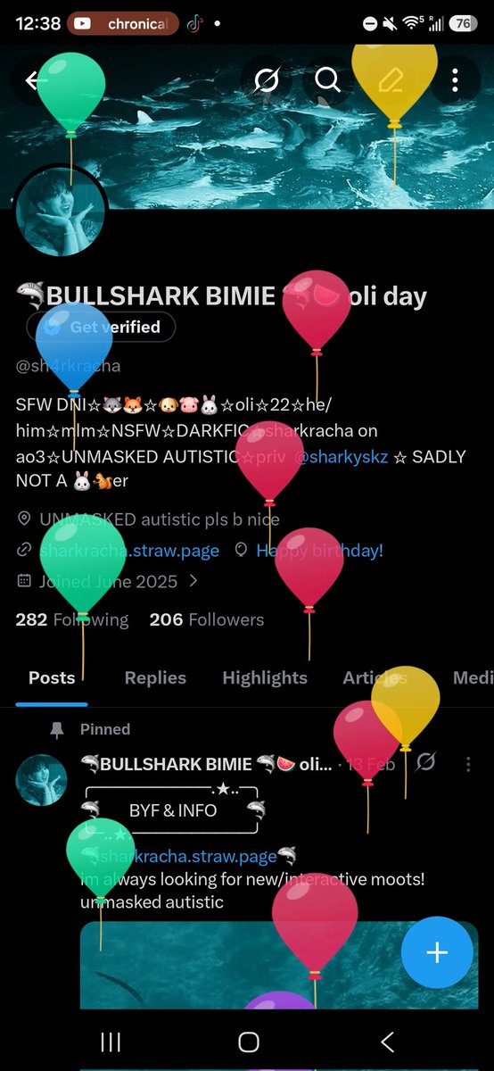 🦈BULLSHARK BIMIE 🦈🍉 oli day tweet media