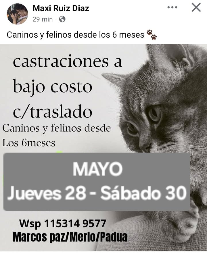 protegealanimal's tweet photo. MARCOS PAZ   
#MARCOSPAZ #BARRIOLAPAZ #LAPAZ #BARRIOELPRADO #ELPRADO #BARRIOSANEDUARDO #ELÍASROMERO #SANTAROSA #LACAPILLA #SANTACATALINA #LISANDRODELATORRE #SANTAMARTA #LUCERO #BARRIOLUCERO 
MERLO
#MERLO #AGUSTÍNFERRARI #MARIANOACOSTA #PADUA
#ZONAOESTE #GRANBSAS #BSAS #CONURBANO https://t.co/81rKBUm9QD