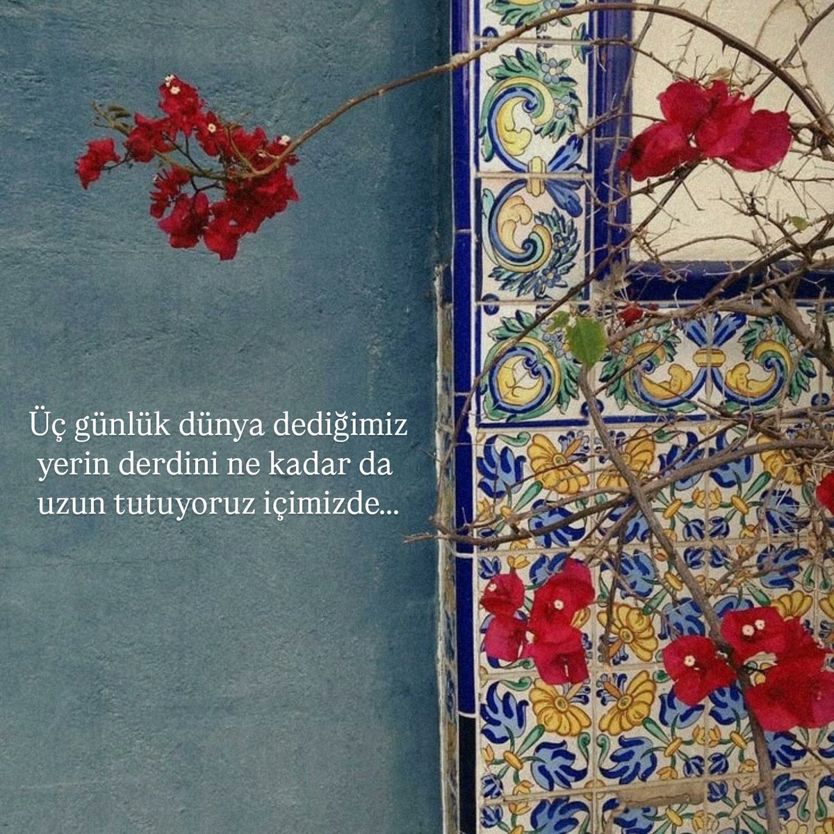 Anonim Avukat tweet media
