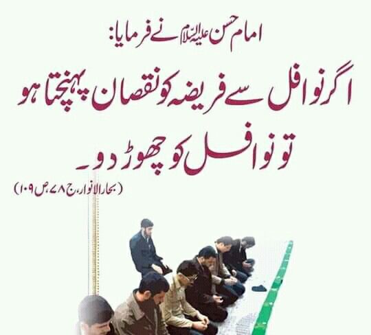 تطہیر فاطمہ tweet media