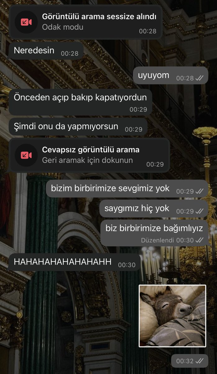 eylul tweet media