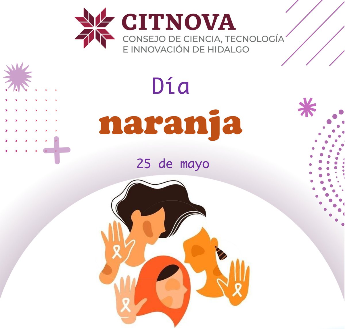 CITNOVA tweet media