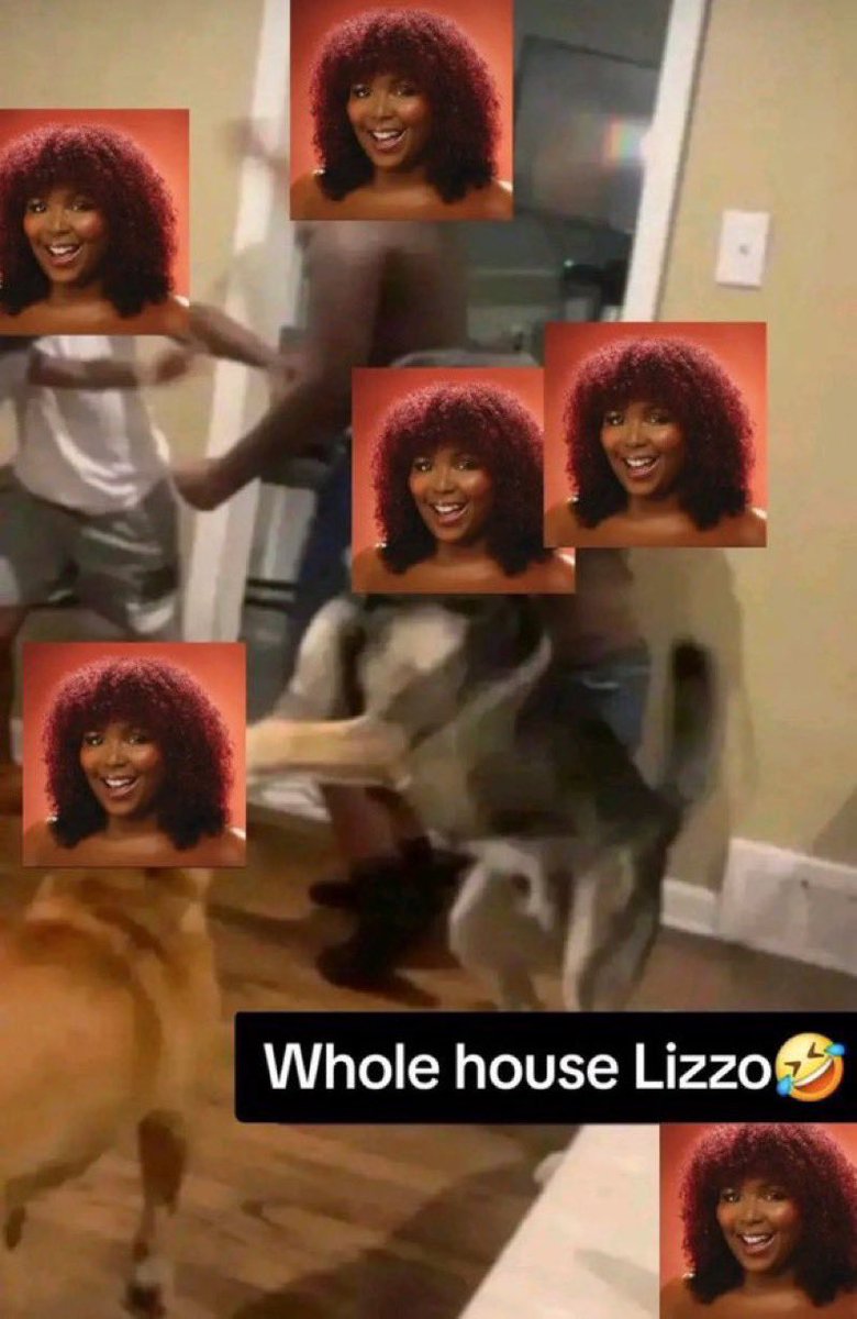 max is seeing ari tweet media