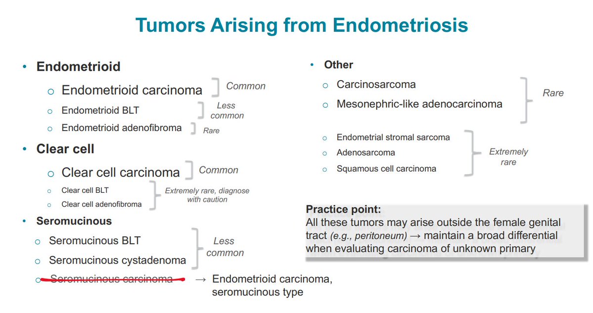 Janiranavarro's tweet photo. Tumors Arising from Endometriosis

Dr. Lucas #JobPrepBootcamp #pathology #NIPCAP #PathX https://t.co/Eg4jL0DWlb